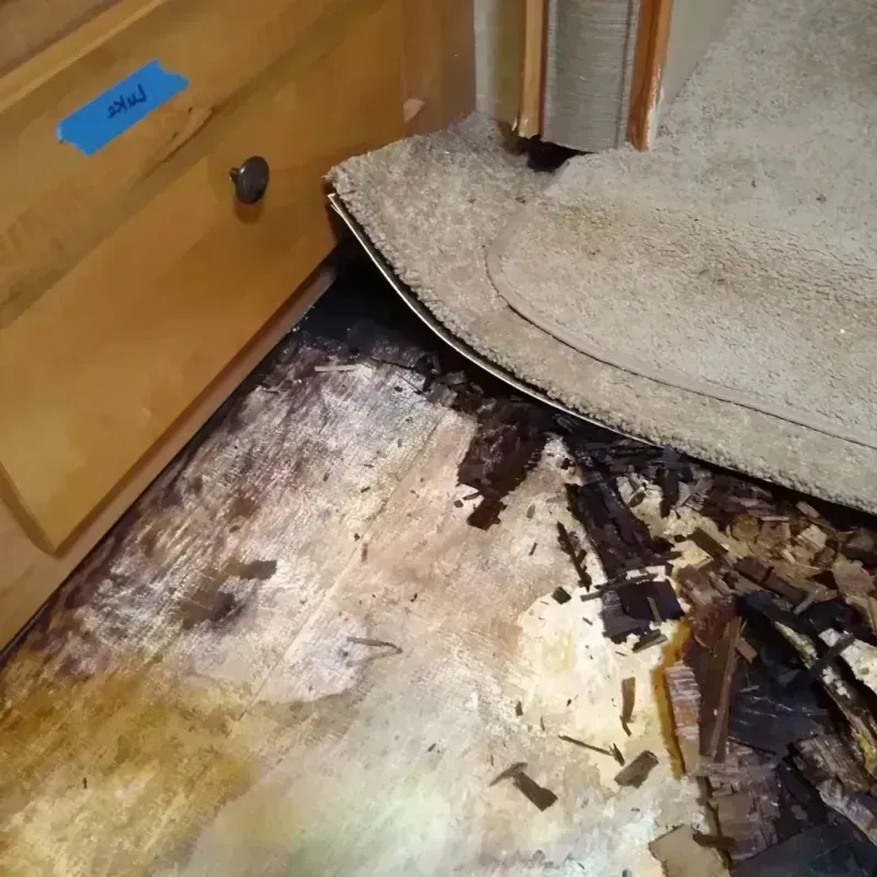 Wood Floor Water Damage in Fairforest, SC